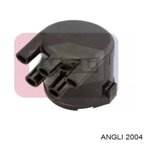  2004 Angli