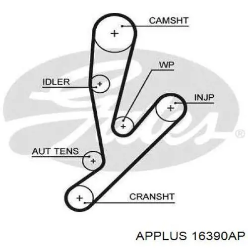 16390AP Aplus