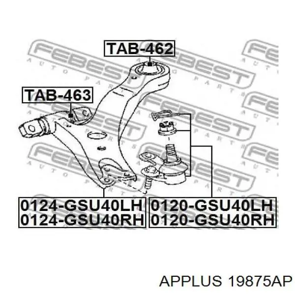 19875AP Aplus
