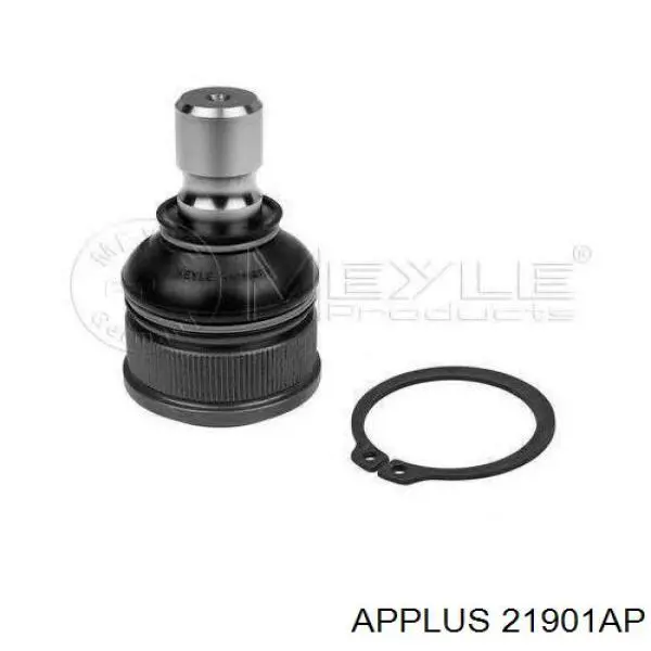 21901AP Aplus