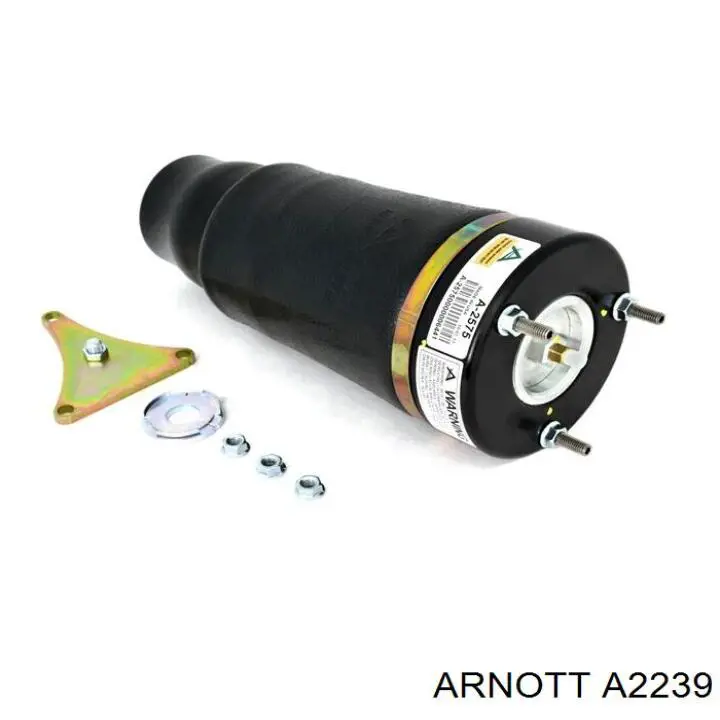 A2239 Arnott