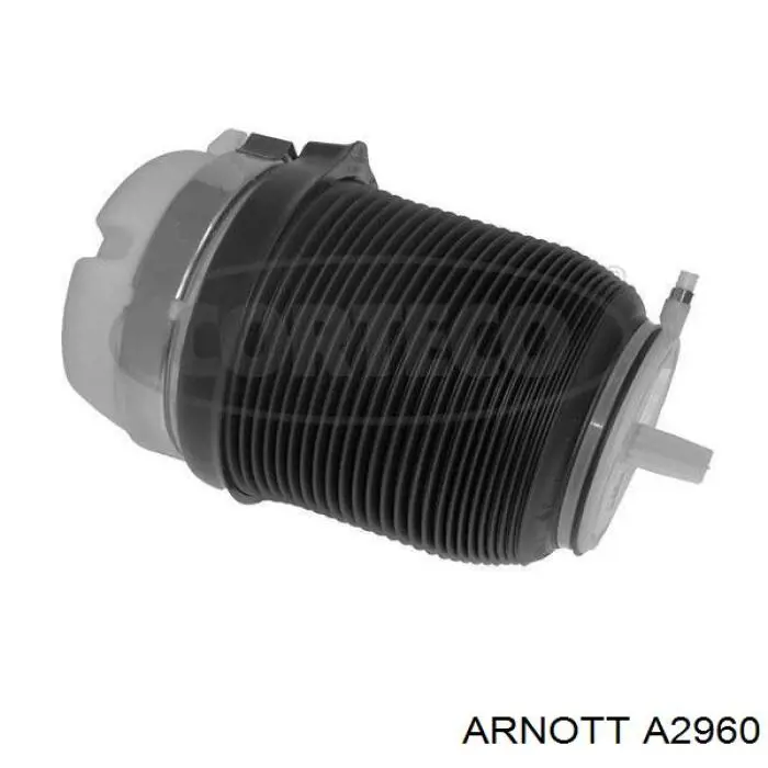 A2960 Arnott