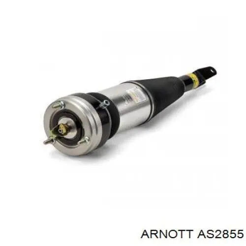 AS2855 Arnott