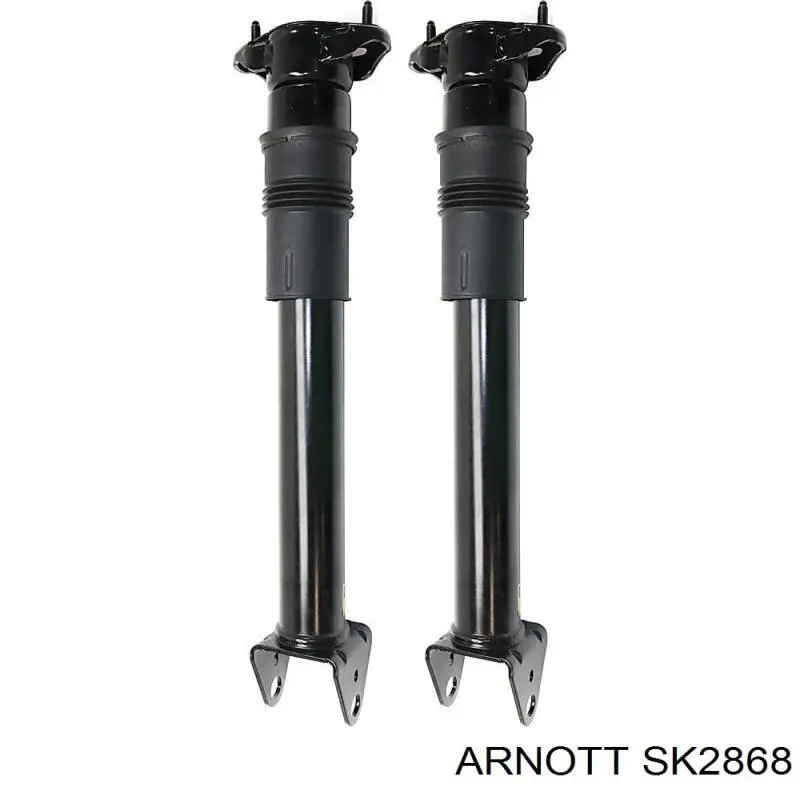SK2868 Arnott Амортизаторы задние