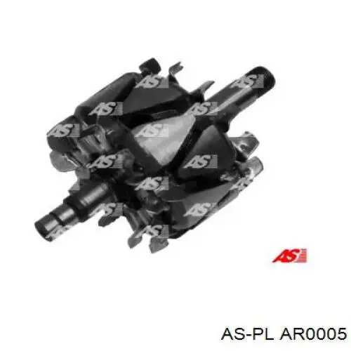 AR0005 As-pl induzido (rotor do gerador)