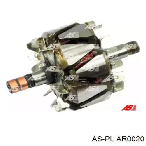 AR0020 As-pl induzido (rotor do gerador)