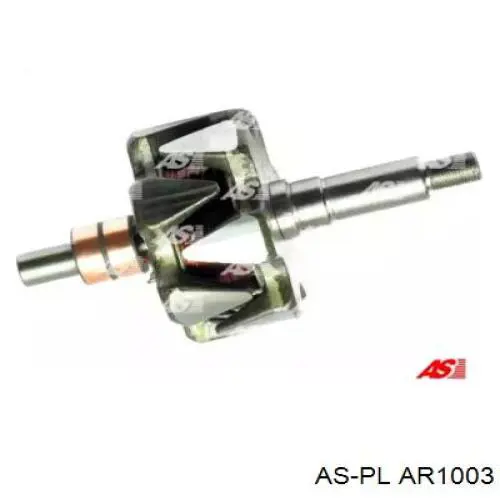 AR1003 As-pl induzido (rotor do gerador)