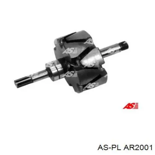 AR2001 As-pl induzido (rotor do gerador)