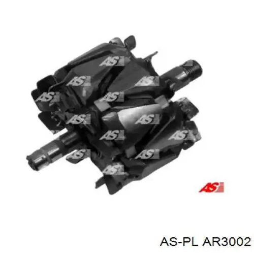 AR3002 As-pl induzido (rotor do gerador)