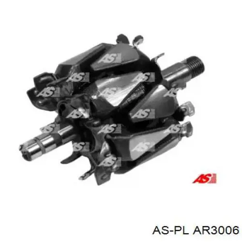 AR3006 As-pl induzido (rotor do gerador)
