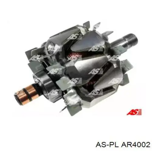 AR4002 As-pl induzido (rotor do gerador)