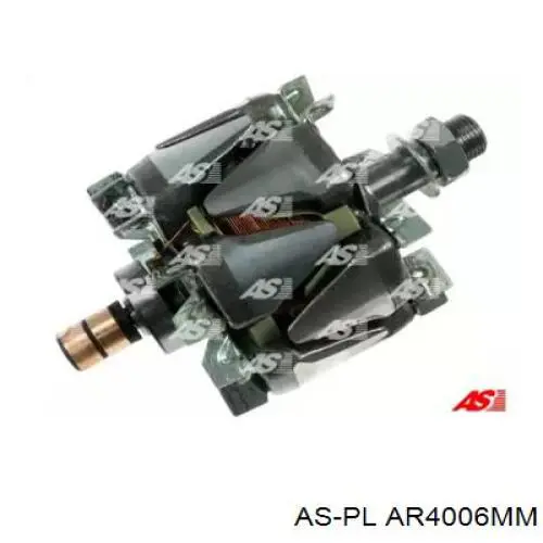 AR4006MM As-pl induzido (rotor do gerador)