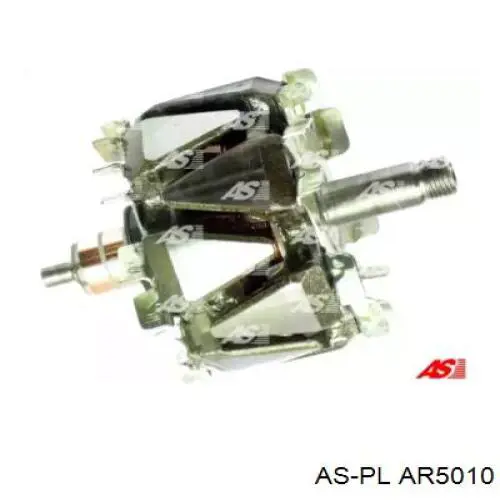 AR5010 As-pl induzido (rotor do gerador)