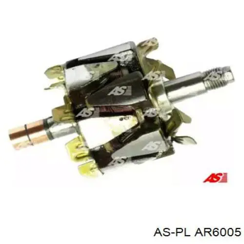 AR6005 As-pl induzido (rotor do gerador)