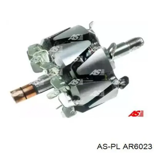 AR6023 As-pl induzido (rotor do gerador)