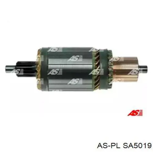 SA5019 As-pl induzido (rotor do motor de arranco)