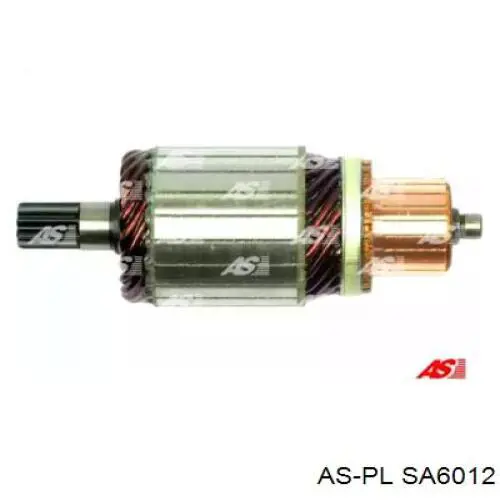 SA6012 As-pl induzido (rotor do motor de arranco)