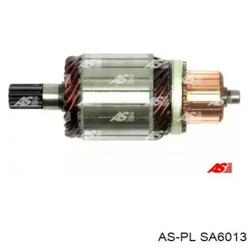 SA6013 As-pl induzido (rotor do motor de arranco)