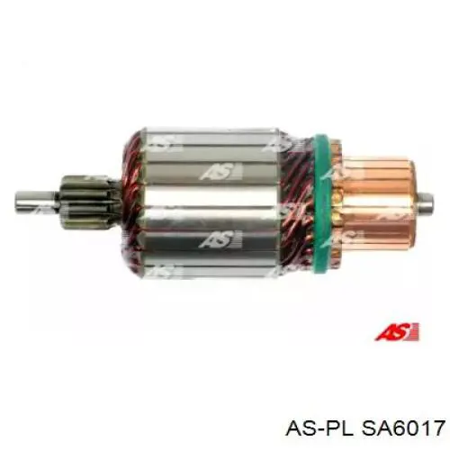 SA6017 As-pl induzido (rotor do motor de arranco)