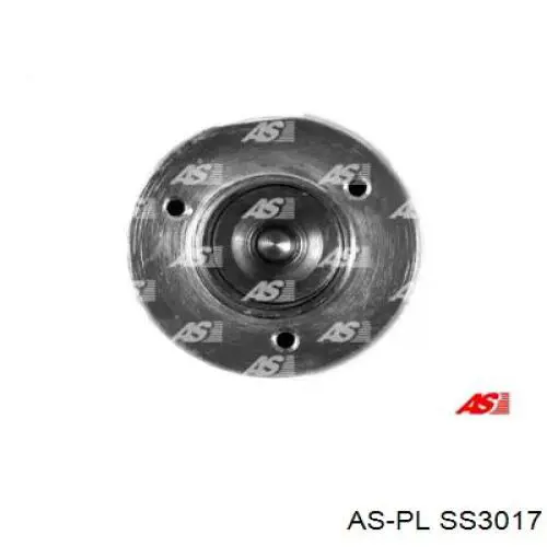 SS3017 As-pl