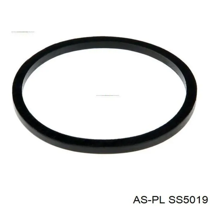 Купить SS5019 As-pl Тяговое реле