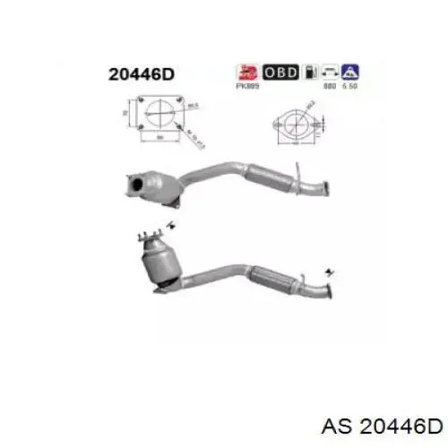  20446D AS/Auto Storm