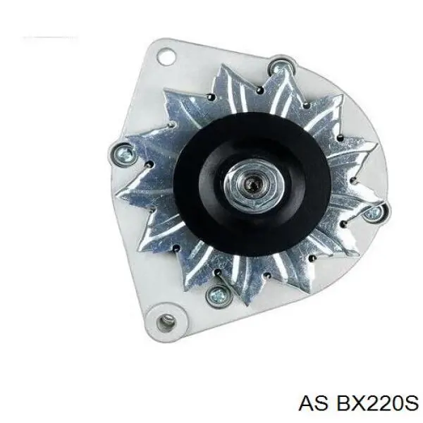 BX220S AS/Auto Storm