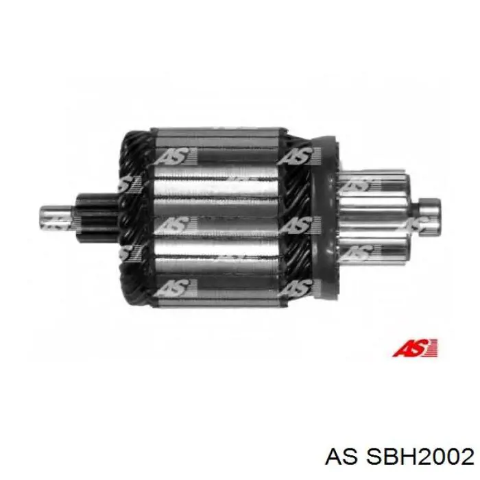 SBH2002 AS/Auto Storm Щеточный узел на стартер