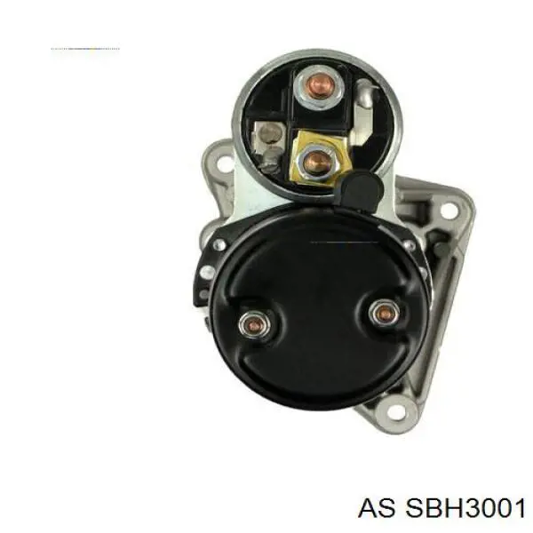 SBH3001 AS/Auto Storm щеткодержатель стартера