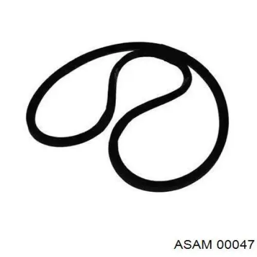 Купить 00047 Asam Ремень генератора