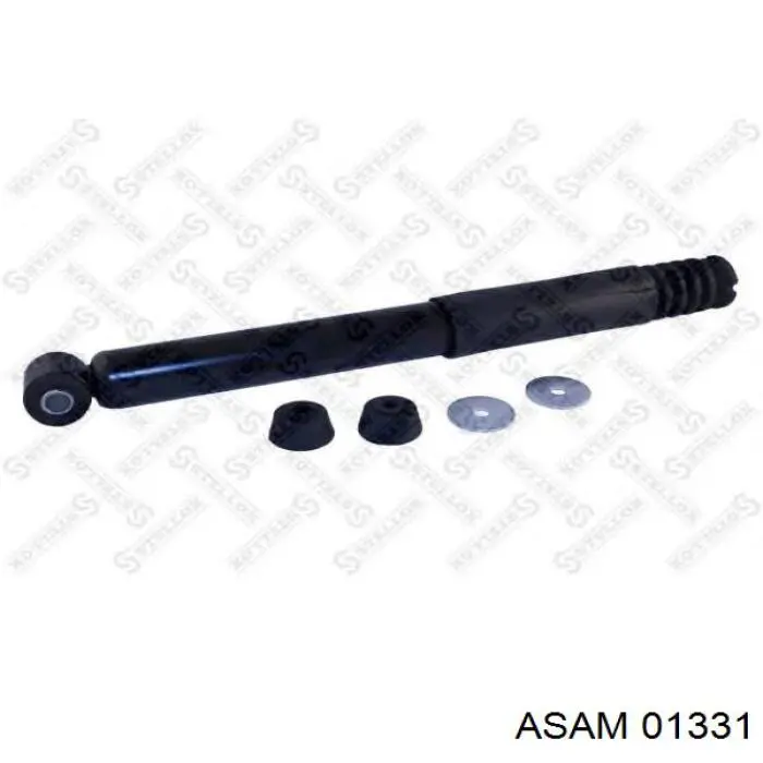 01331 Asam