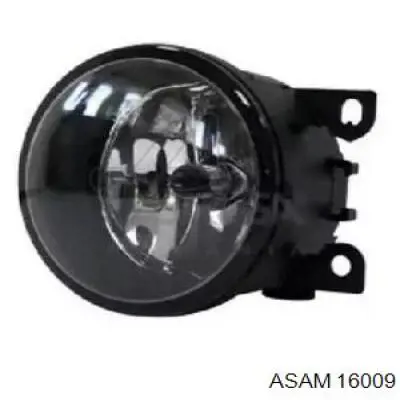 16009 Asam