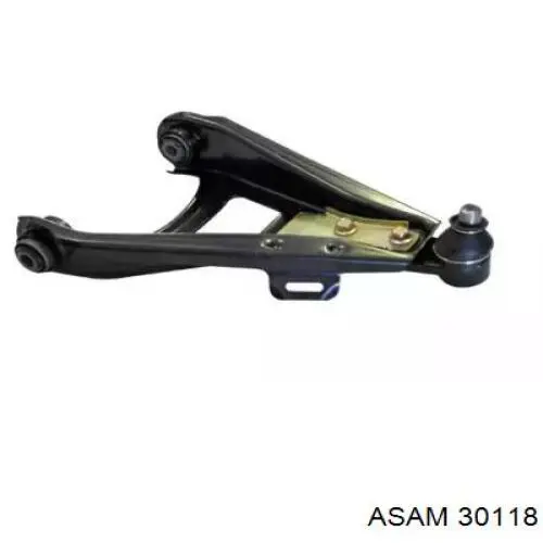 30118 Asam