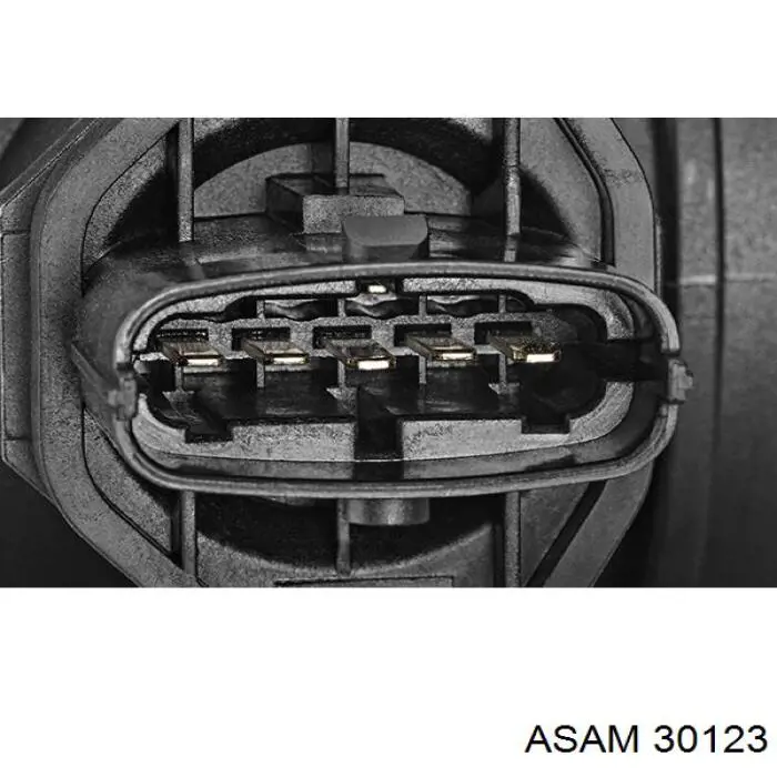 Купить 30123 Asam Амортизатор передней подвески