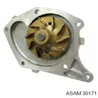 30171 Asam Насос водяной