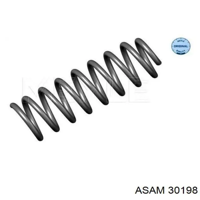 Задняя пружина 30198 Asam