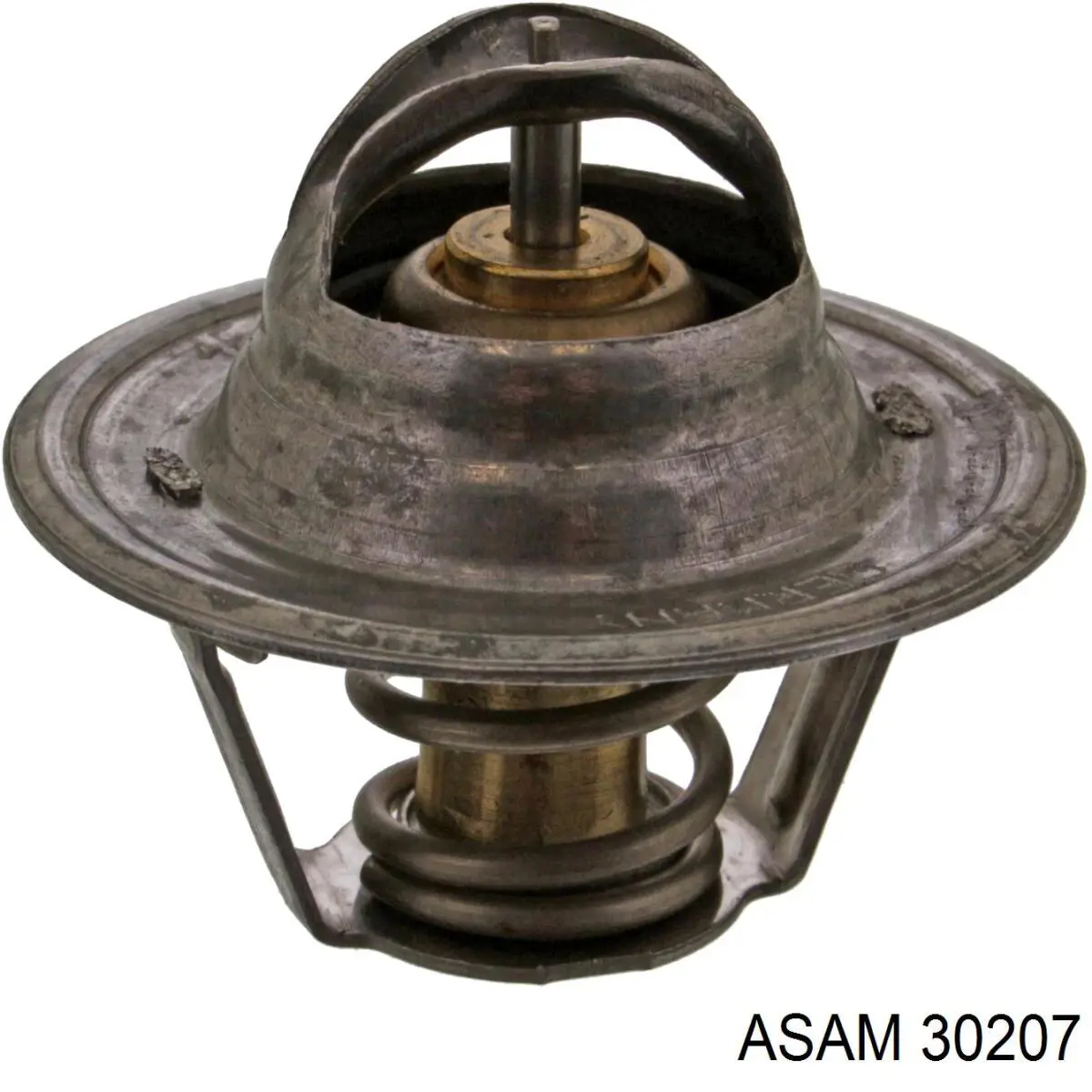 30207 Asam заглушка (решетка противотуманных фар бампера переднего правая)
