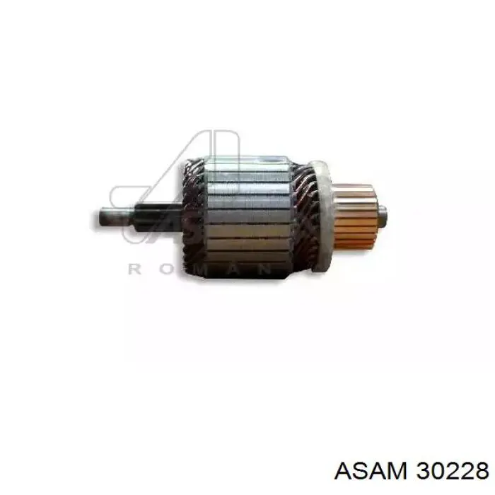 30228 Asam