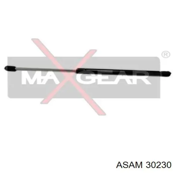 Амортизатор задней двери Asam 30230 цена, от 6.56 USD
