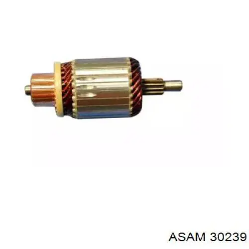 30239 Asam якорь (ротор стартера)