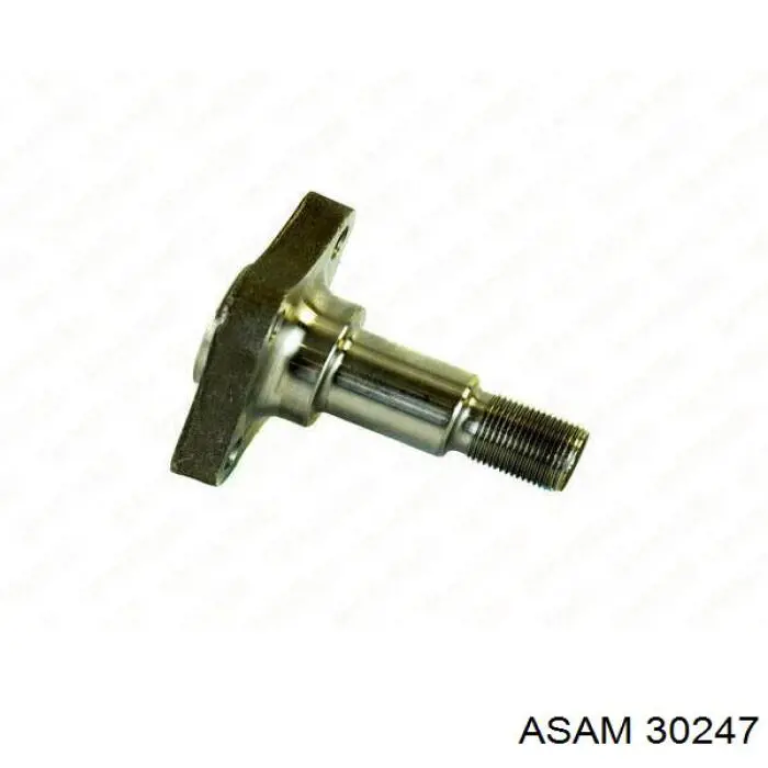 Поворотный кулак задний Asam 30247 цена, от 12.32 USD