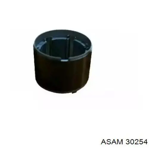 30254 Asam