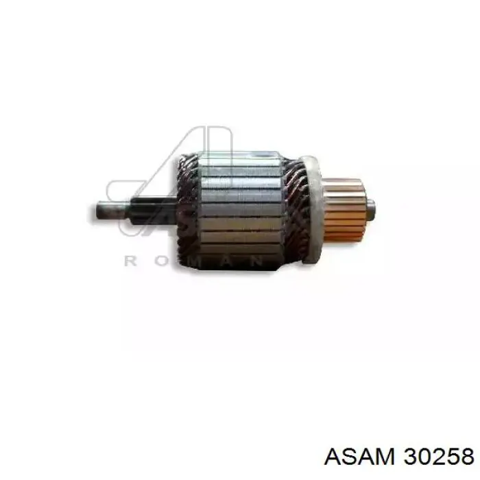 30258 Asam якорь (ротор стартера)
