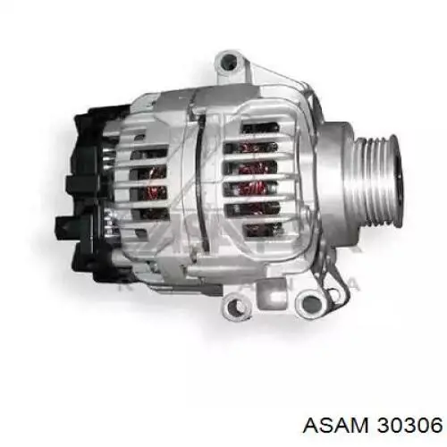 30306 Asam генератор