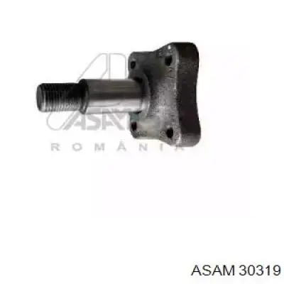 Купить 6001548987 Renault (RVI) Поворотный кулак задний