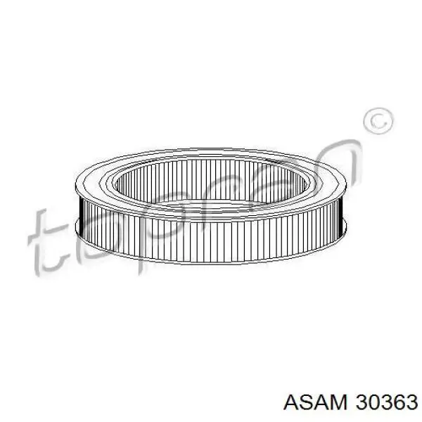 30363 Asam высоковольтные провода
