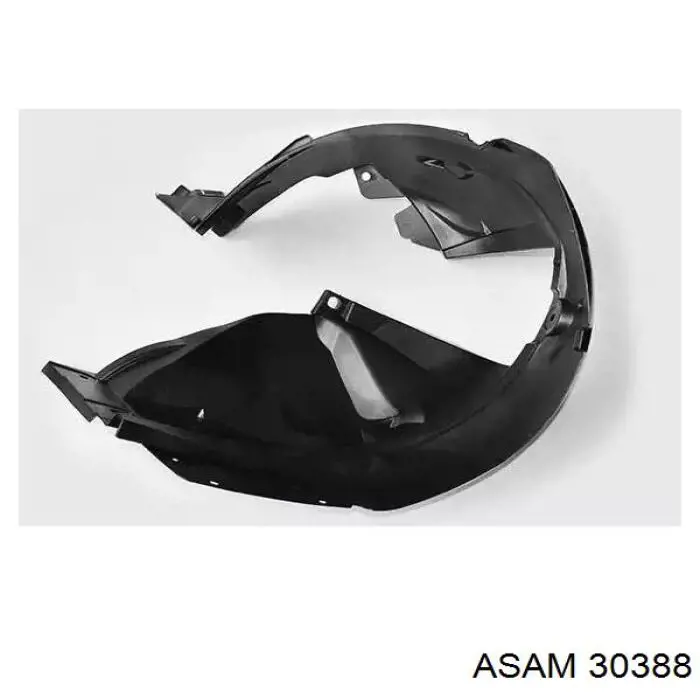 30388 Asam