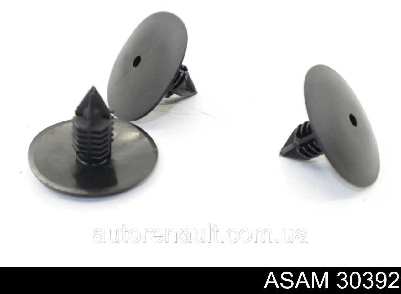 Пистон крепления подкрылка переднего крыла Asam 30392 цена, от 0.29 USD