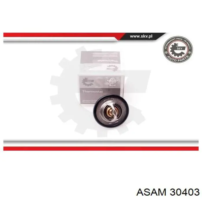 Termostato, refrigerante 30403 Asam