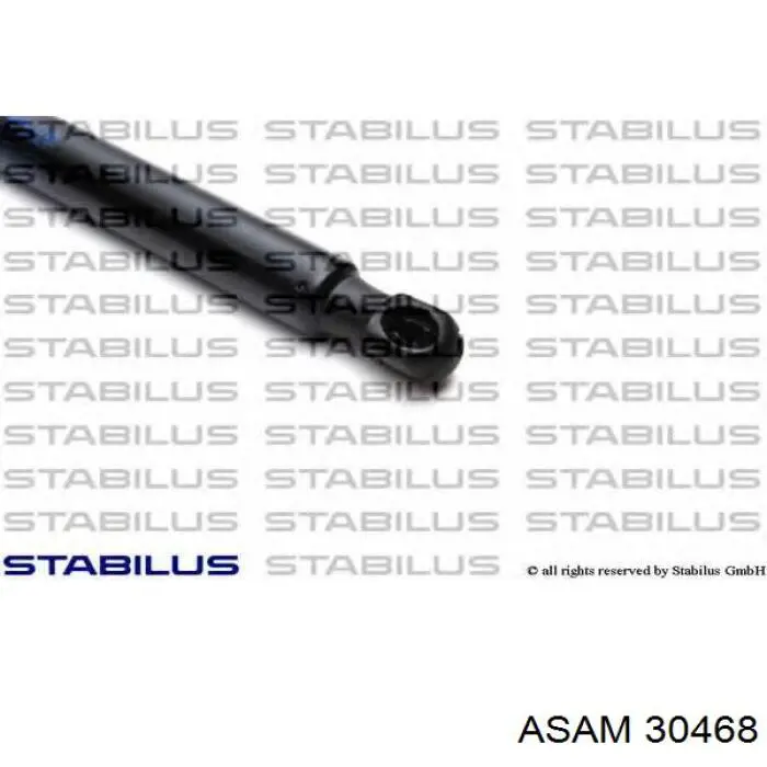Амортизатор задней двери Asam 30468 цена, от 7.27 USD